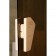 Стеклянная дверь для сауны Tesli Plaza 67,8x188
